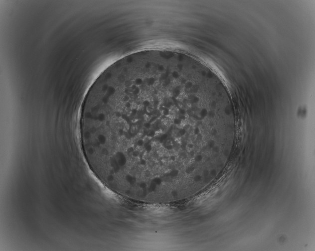 X0000100311103200806121035