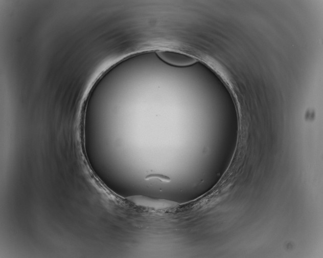 X0000100311104200806121035