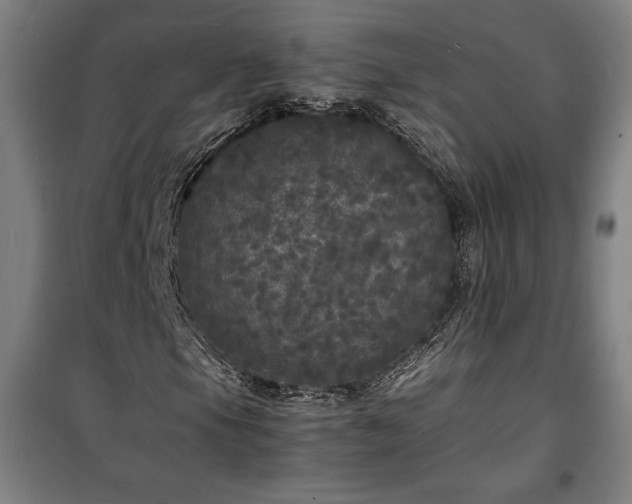 X0000100311105200806121034