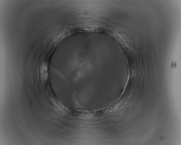 X0000100311106200806121034