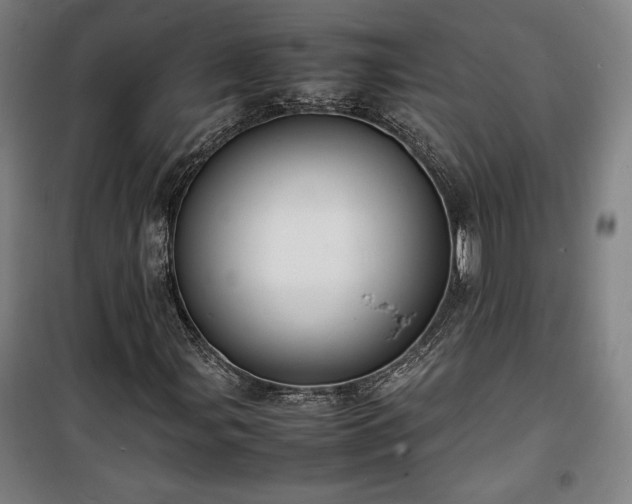X0000100311107200806121034