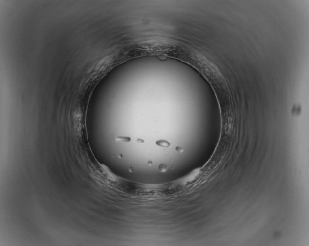 X0000100311108200806121034