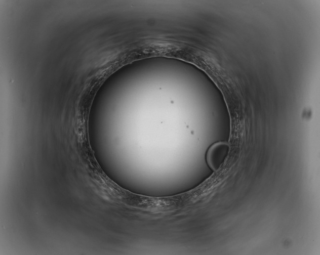 X0000100311109200806121034