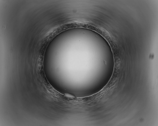 X0000100311110200806121034