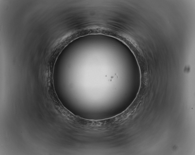 X0000100311111200806121034