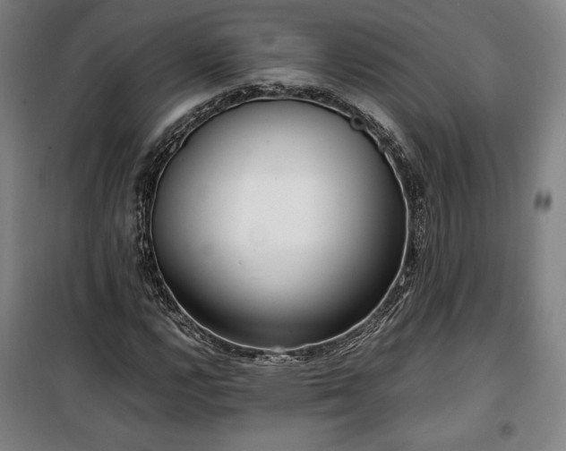 X0000100311112200806121034