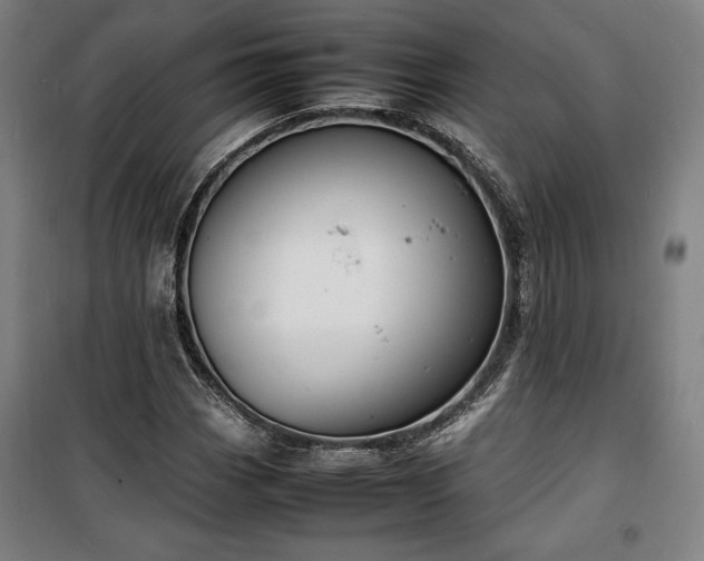 X0000100311113200806121034