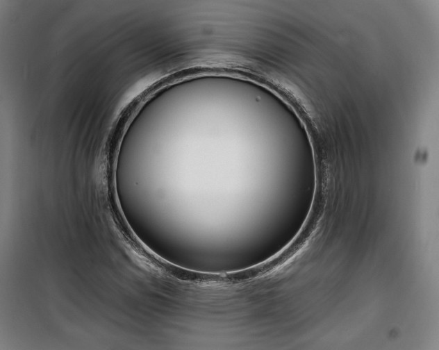 X0000100311114200806121034