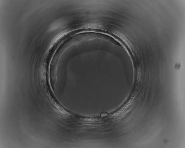 X0000100311115200806121034