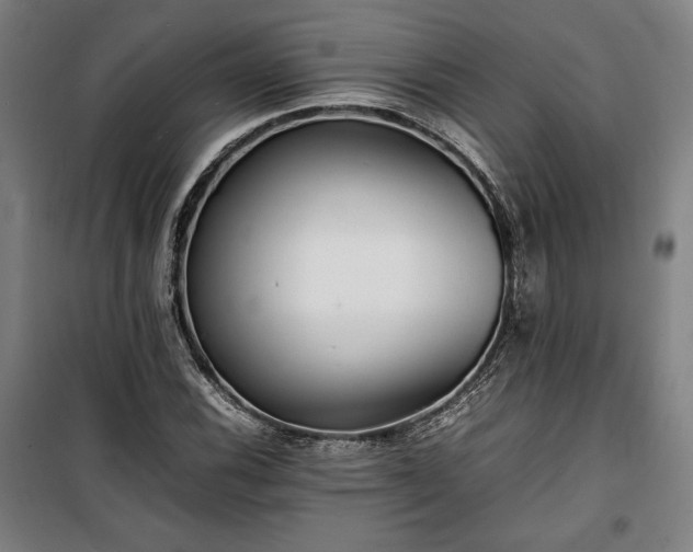 X0000100311116200806121034