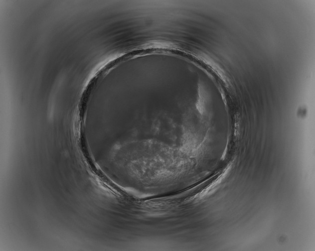 X0000100311117200806121034