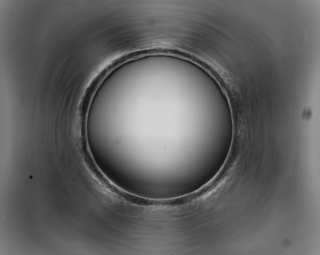 X0000100311118200806121034
