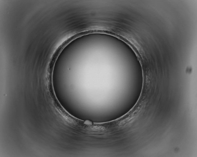 X0000100311119200806121034
