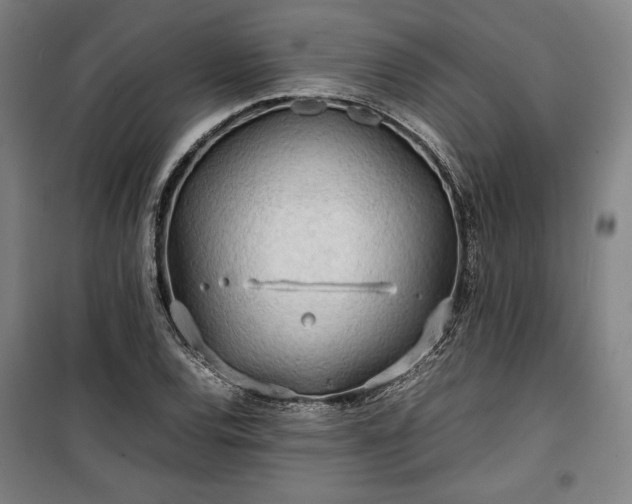 X0000100311120200806121034