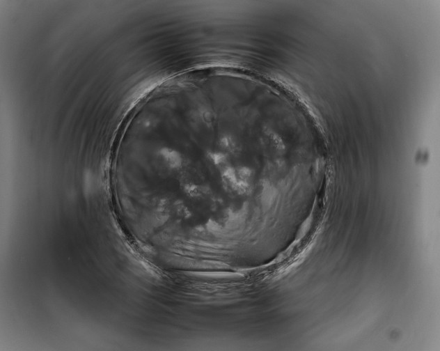 X0000100311121200806121034