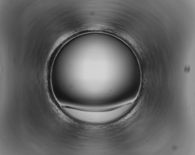X0000100311122200806121034