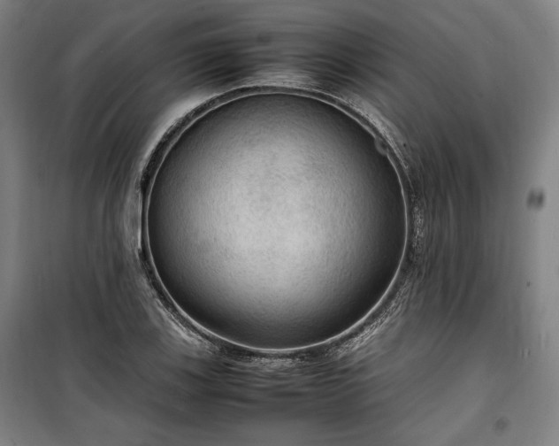 X0000100311123200806121034