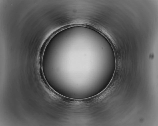 X0000100311124200806121034