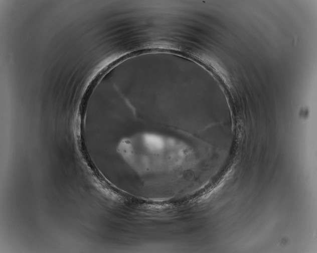 X0000100311125200806121034