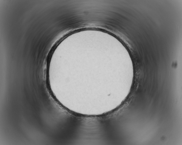 X0000100311126200806121034
