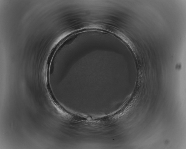 X0000100311127200806121034
