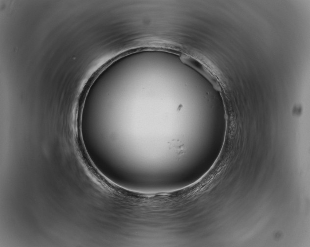 X0000100311128200806121034