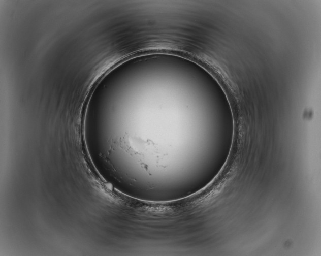 X0000100311129200806121034