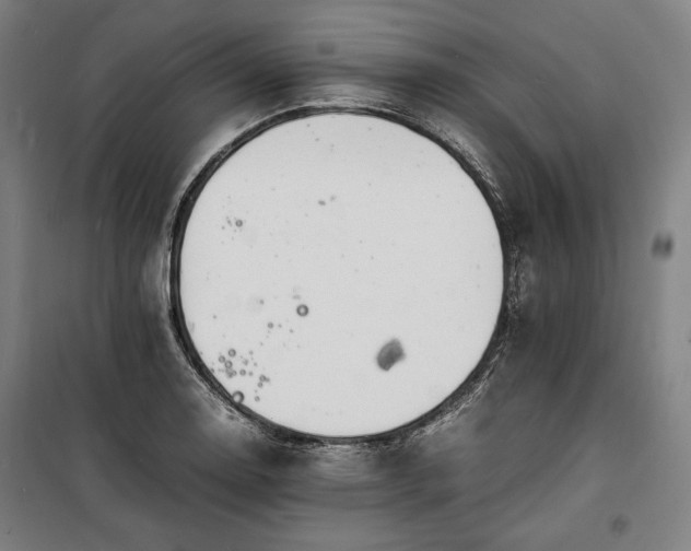 X0000100311130200806121034