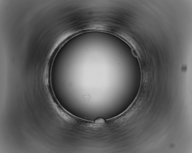 X0000100311131200806121034