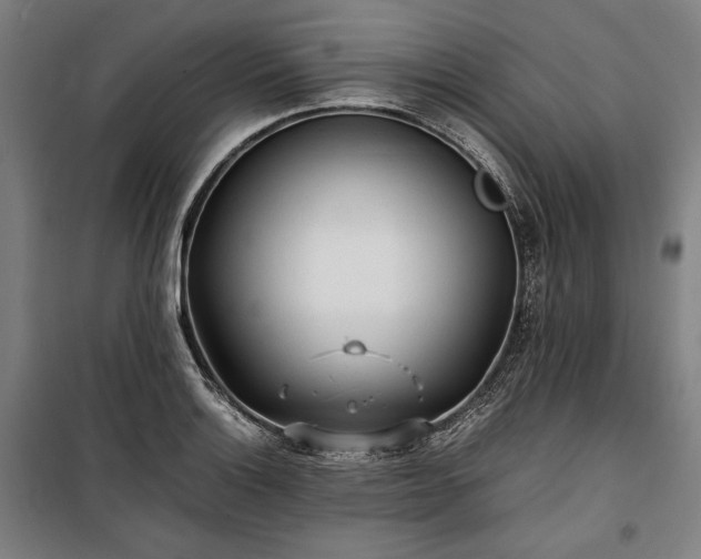 X0000100311132200806121034