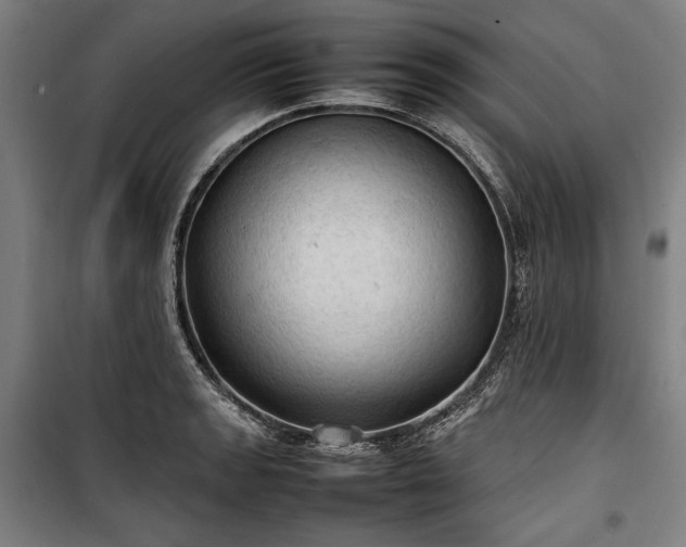 X0000100311133200806121034