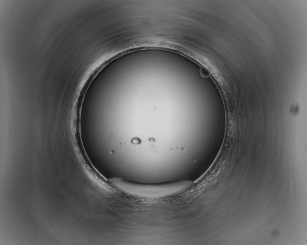 X0000100311136200806121034