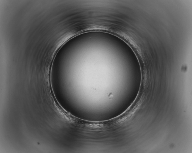 X0000100311137200806121034