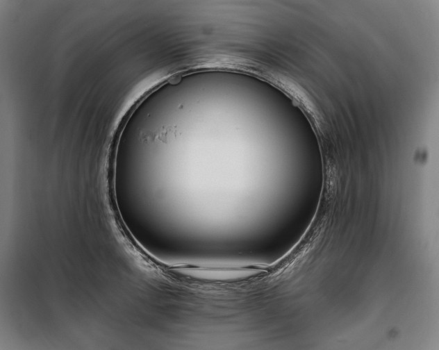 X0000100311138200806121034