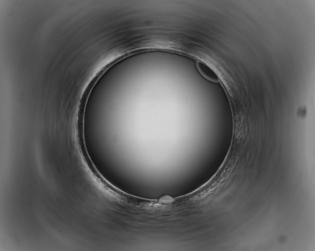 X0000100311139200806121034