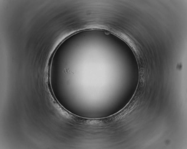 X0000100311140200806121034