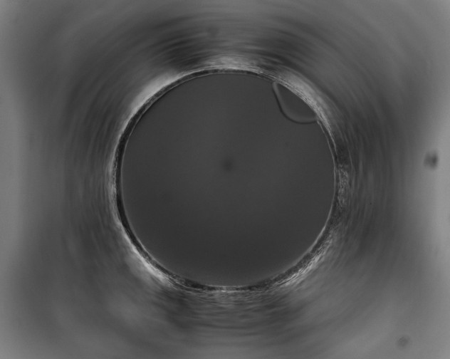 X0000100311141200806121034