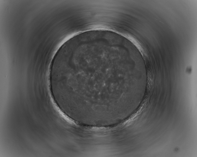 X0000100311142200806121034