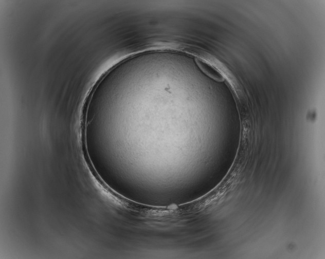 X0000100311143200806121034