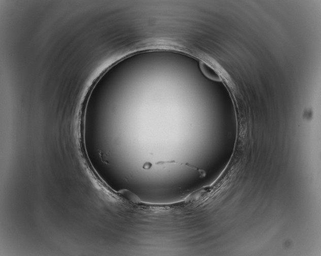 X0000100311144200806121034