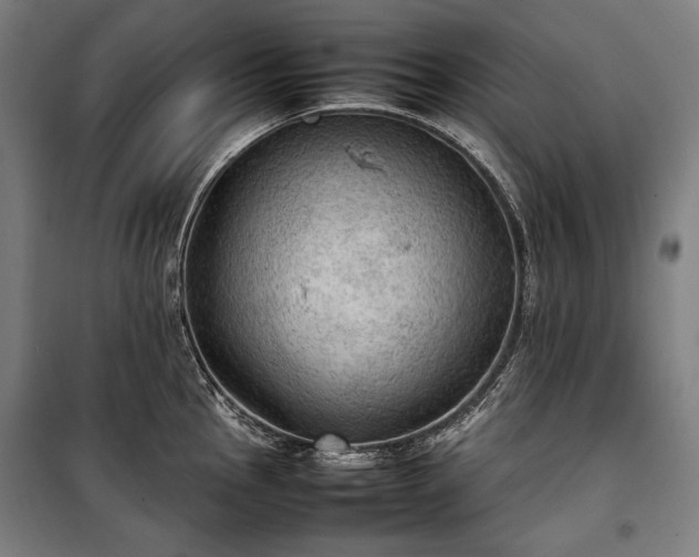 X0000100311145200806121034