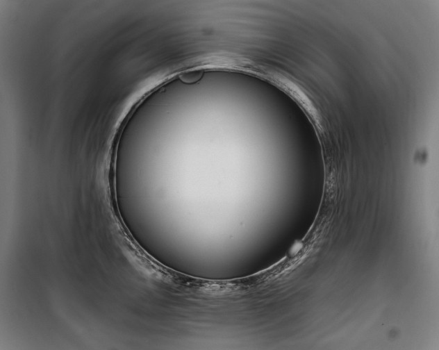 X0000100311146200806121034