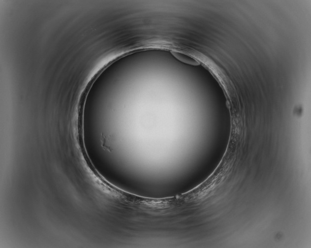 X0000100311147200806121034