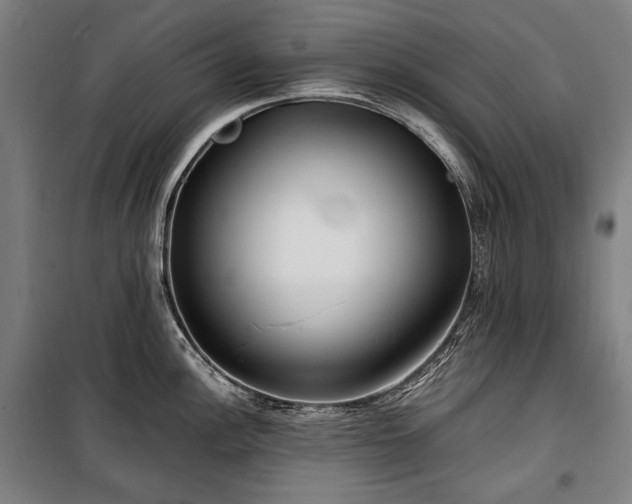 X0000100311148200806121034