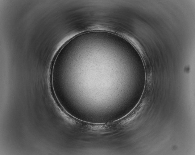 X0000100311149200806121034