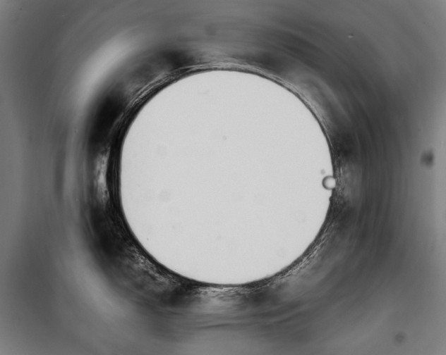 X0000100311150200806121034