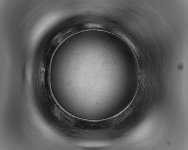 X0000100311151200806121034