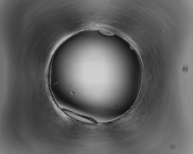 X0000100311152200806121035