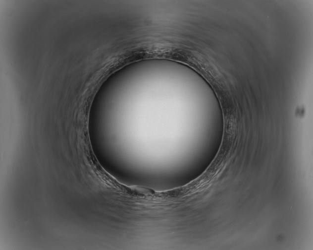 X0000100311153200806121034