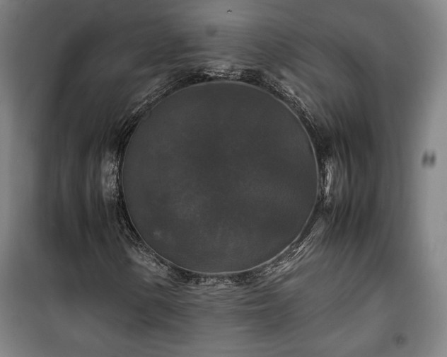 X0000100311154200806121034